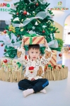 Merry Christmas 2024 - Ghi dấu mùa Giáng sinh an lành Hoa Trạng Nguyên